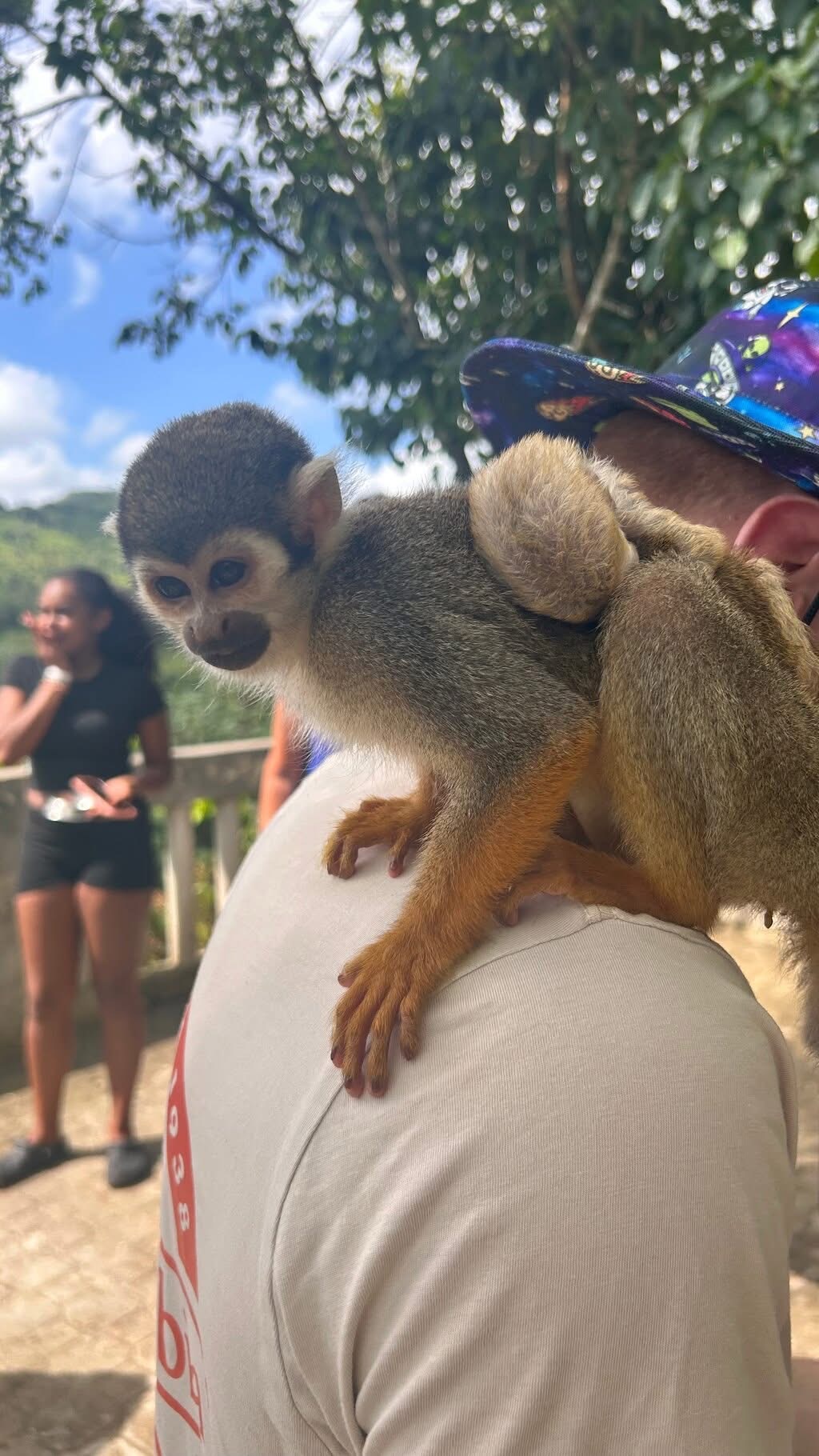 Monkeyland and Plantation Tour