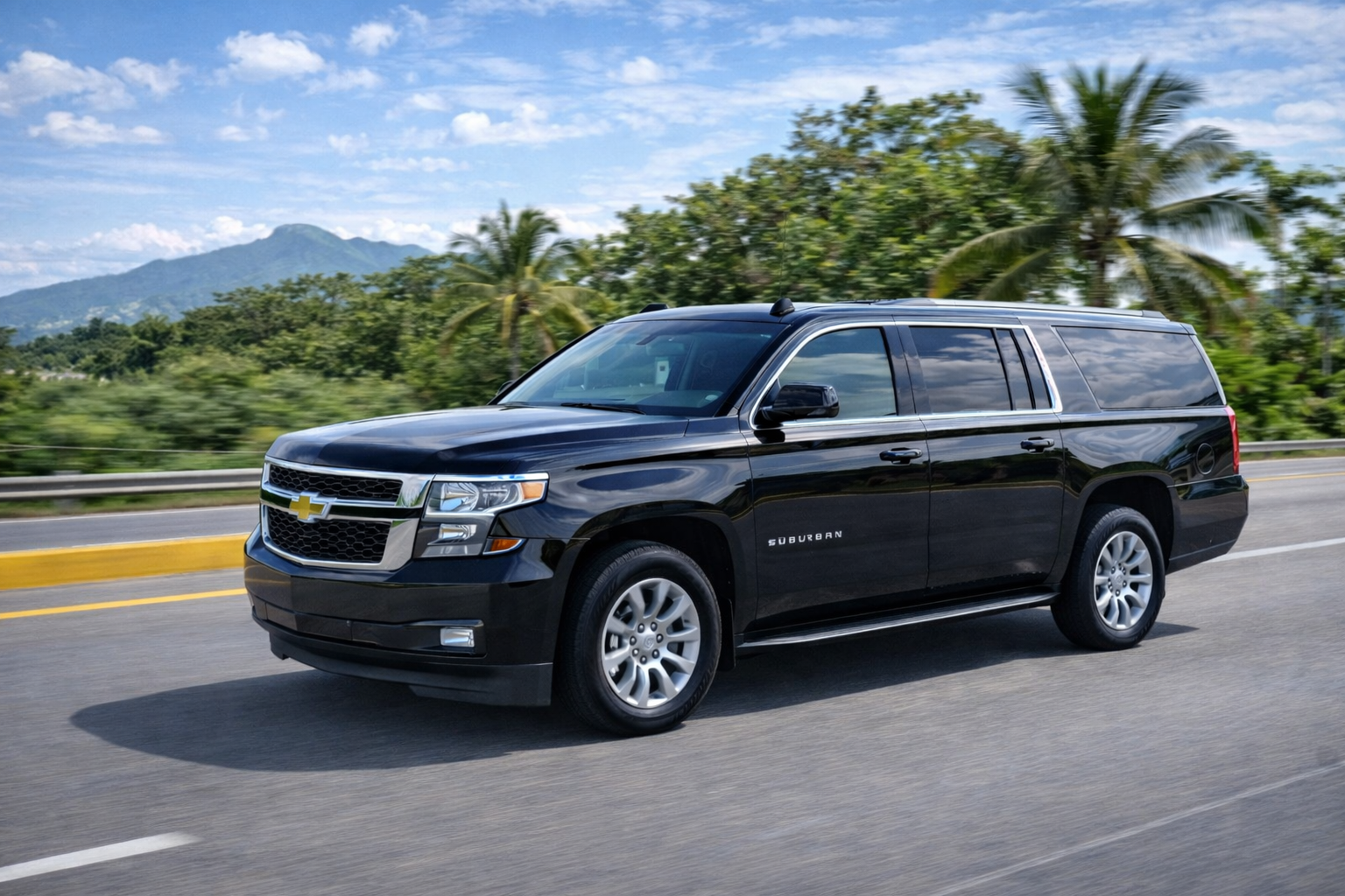 Premium Round Trip Airport Transfer Suburban/Punta Cana & Cabeza de Toro